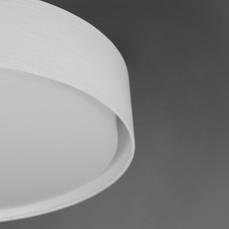 Prime LED Flush Mount (10237WL)