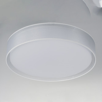 Prime LED Flush Mount (10237WO)
