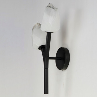 Blossom LED Wall Sconce (E32792-93BK)