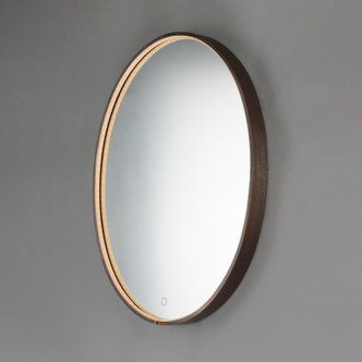 Mirror LED Mirror (E42012-90BRZ)
