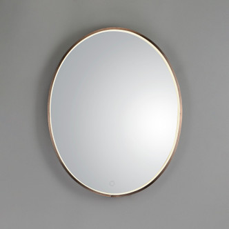Mirror LED Mirror (E42012-90BRZ)