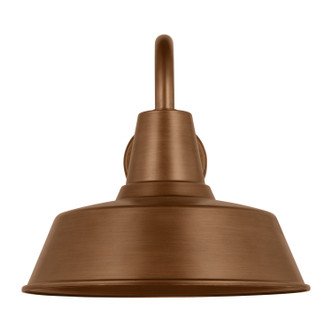 manufacturer_finish:Natural Copper|light_output:800.00lm|color_temperature:3000K|cri:90