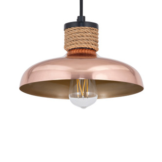 Bingham One Light Pendant (22492CP)