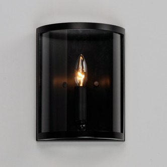 Sentinel One Light Wall Sconce (25259CLBK)