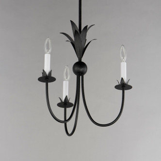 Paloma Three Light Chandelier (2883AR)