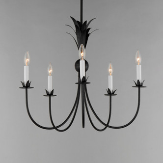 Paloma Five Light Chandelier (2885AR)