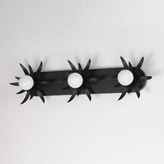 Paloma Three Light Wall Sconce (2886AR)