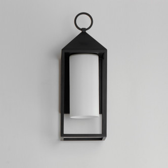 Aldous One Light Outdoor Wall Sconce (30072SWBK)