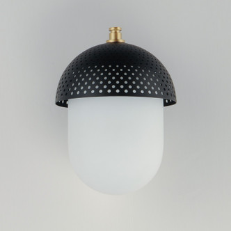 Perf Outdoor One Light Outdoor Wall Sconce (30182WTBKGLD)