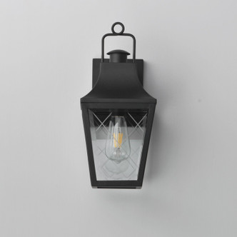 Storybook One Light Outdoor Wall Sconce (30361CLBK)