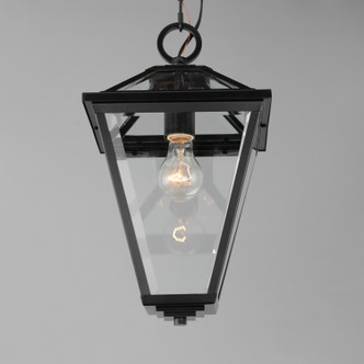 Prism One Light Pendant (30569CLBK)