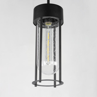 Millennial One Light Outdoor Pendant (30587CDBK)