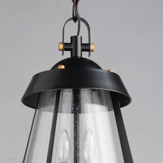 Mariner Two Light Outdoor Pendant (30623CDBKAB)