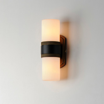 Ruffles Two Light Outdoor Wall Sconce (32651SWBKAB)