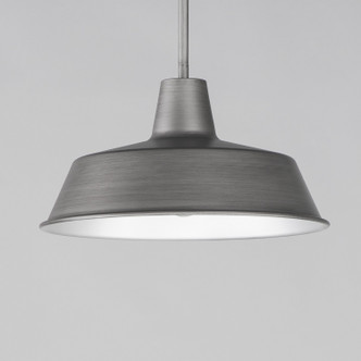 Pier M One Light Pendant (35019WZ)