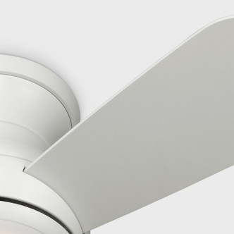 Orbis 32 Hugger LED 32"Ceiling Fan (3OBSHR32RZWD)