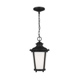 manufacturer_finish:Black|manufacturer_glass:Etched / White Inside|light_source:Unspecified|light_output:Unspecified|color_temperature:Unspecified|cri:Unspecified
