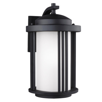 manufacturer_finish:Black|manufacturer_glass:Satin Etched|light_source:Unspecified|light_output:Unspecified|color_temperature:Unspecified|cri:Unspecified