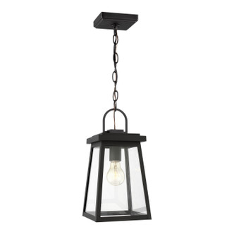 manufacturer_finish:Black|light_output:Unspecified|color_temperature:Unspecified|cri:Unspecified