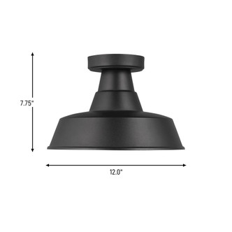 manufacturer_finish:Black|light_output:Unspecified|color_temperature:Unspecified|cri:Unspecified