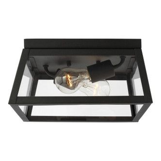 manufacturer_finish:Black|light_output:Unspecified|color_temperature:Unspecified|cri:Unspecified