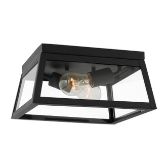 manufacturer_finish:Black|light_output:Unspecified|color_temperature:Unspecified|cri:Unspecified