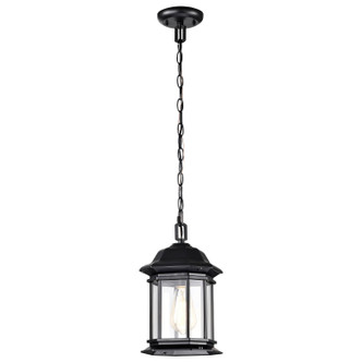 Nuvo Lighting - 60-6117 - One Light Outdoor Hanging Lantern - Hopkins - Matte Black