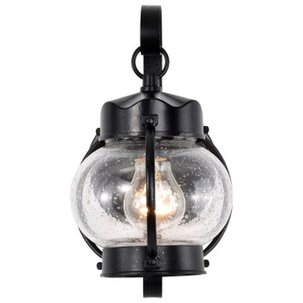 Onion Lantern One Light Wall Lantern (60-632)