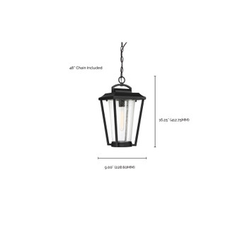 Lakeview One Light Hanging Lantern (60-6514)