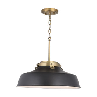 Oakwood One Light Pendant (9D331A)