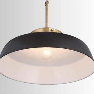 Oakwood One Light Pendant (9D331A)