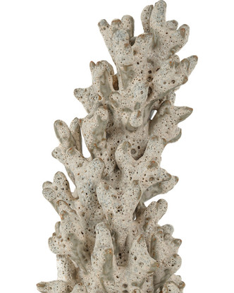 Staghorn Object (1200-1044)