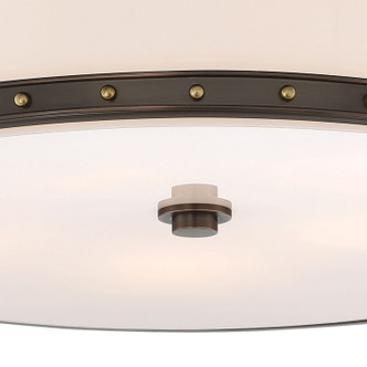 manufacturer_finish:Harvard Court Bronze W/Liberty|light_output:4176.00lm