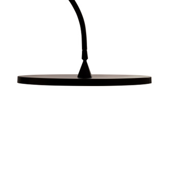 Nuri LED Floor Lamp (79842)