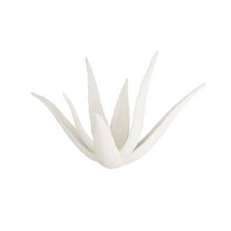 Zaloe Sculpture (ASC12)
