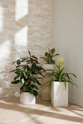 Callies Planters, Set of 3 (AVS07)
