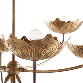Encinitas Eight Light Chandelier (DLI06)