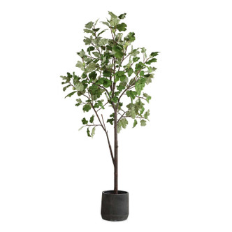 Uttermost - 60246 - Tree - Eden - Black