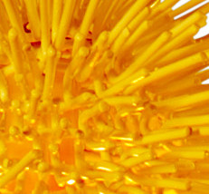 Urchin One Light Mini Pendant (169M01YE)