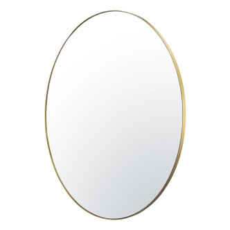 Tablet Mirror (458MI50GO)