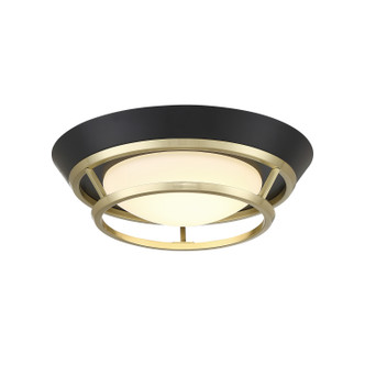 manufacturer_finish:Coal And Satin Brass|light_output:1174.10lm