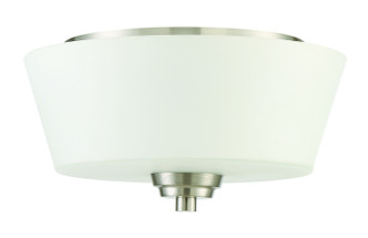 manufacturer_finish:Brushed Polished Nickel