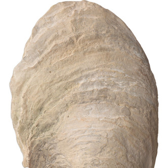 Oyster Sculpture, Set/2 (17523)