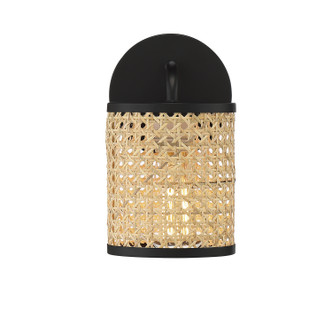 Jaylar One Light Wall Sconce (9-1648-1-89)