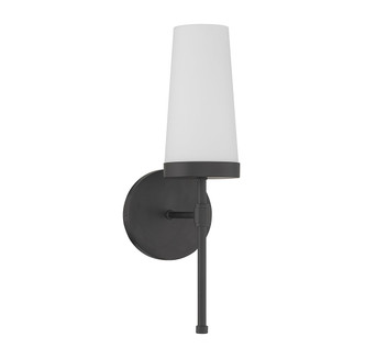 Haynes One Light Wall Sconce (9-2801-1-89)