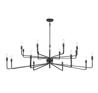 Salem 16 Light Chandelier (1-6402-16-190)