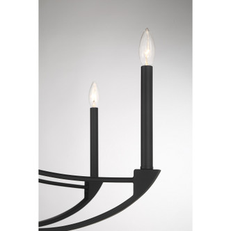 Preserve Eight Light Chandelier (1-6415-8-89)