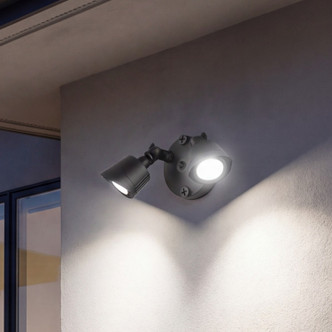LED Double Flood Light (4-FLOOD-A2-3CCT-BK)