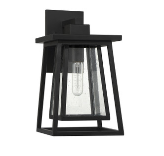 Denver One Light Outdoor Wall Lantern (5-2021-BK)