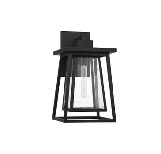 Denver One Light Outdoor Wall Lantern (5-2022-BK)